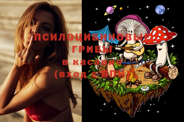 ALPHA PVP Козловка