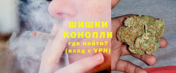 стаф Козельск