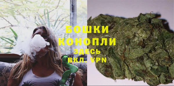 ALPHA PVP Киреевск