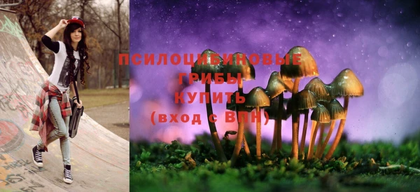 a pvp Кинешма