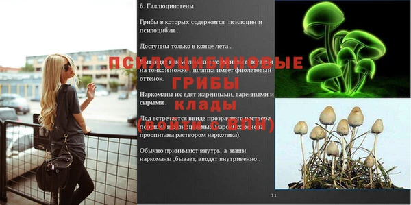 эйфоретик Карталы